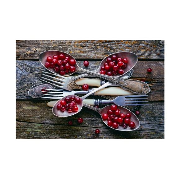Aleksandrova Karina 'Spoonsa Cranberry' Canvas Art