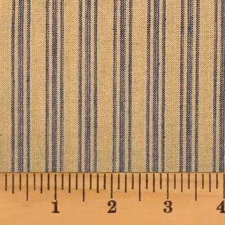 Blue Ticking Fabric
