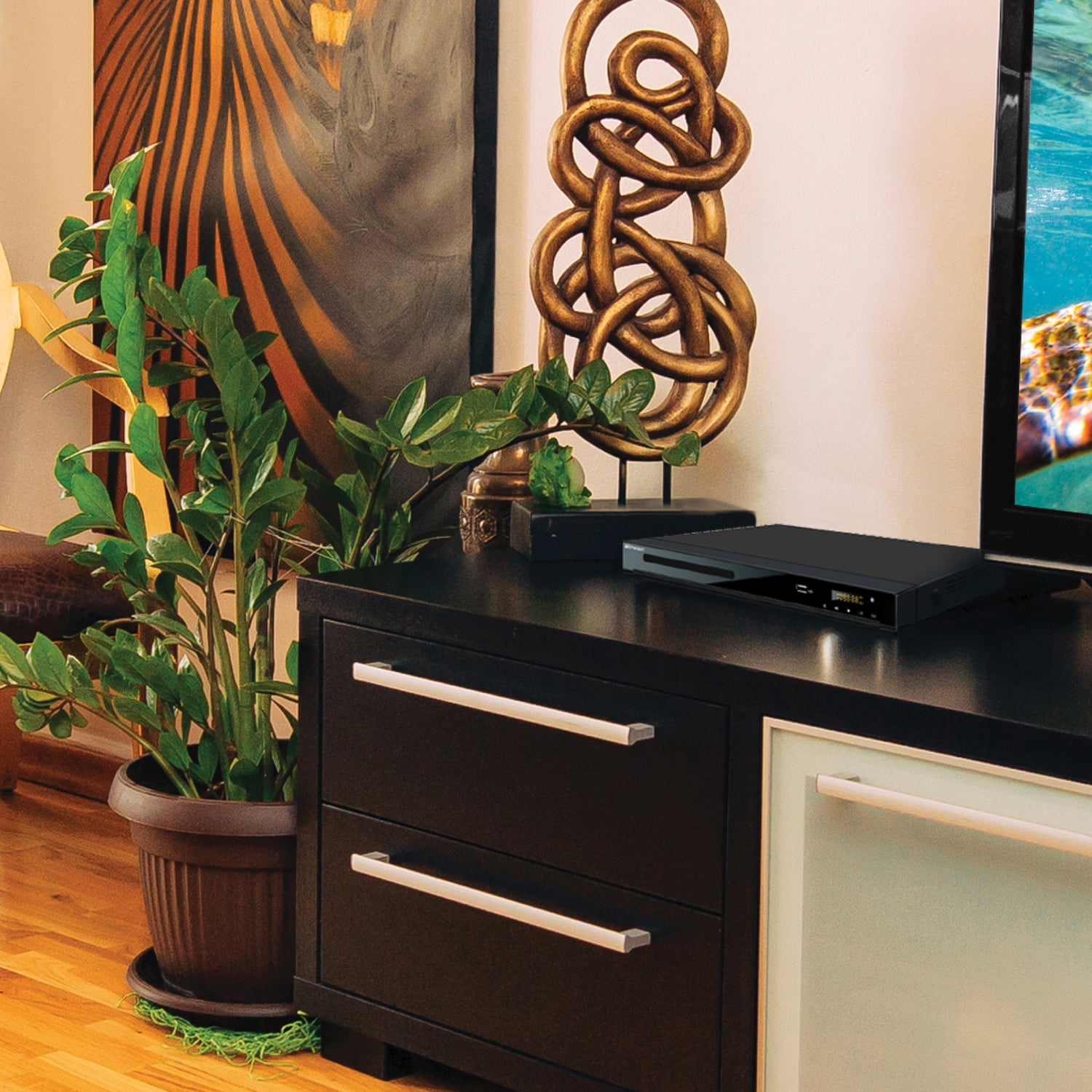 Emerson 480p DVD Player for TV with HDMI HD Upconversion, USB Media Player, Coaxial Audio Output, and Remote, ED-8000