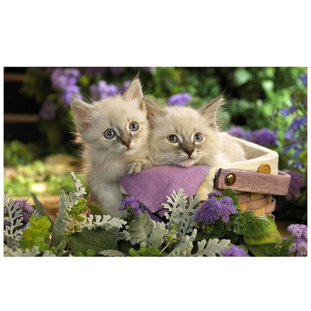 1000 Pcs Casse-Tête en Papier Créatif Jouet Éducatif