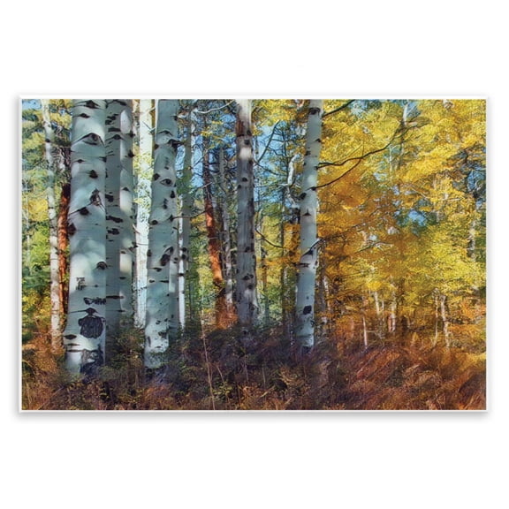 Stupell Industries Farmhouse Cluster of Birch Trees in Yellow Autumn Forest Wall Plaque Art, 15 x 10, by Larry McFerrin