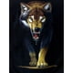 thumbnail image 1 of Pintura de diamante (DE8041) 5D Kits de mosaico de lobo cuadrado Arte de la pared Artesanía 45x60cm Hugtrwg Para estrenar, 1 of 1