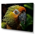 thumbnail image 2 of Designart "Parrots Creating Emerald Melodies II" Parrot Wall Art Prints, 2 of 7
