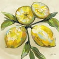 thumbnail image 2 of Vertentes, Jeanette 26x26 Gold Ornate Wood Framed with Double Matting Museum Art Print Titled - Lemons on Cream, 2 of 4