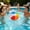 C, variant on Orangide Beach Balls 5 Pcs Colorful PVC Inflatable Toy Balls for Summer Hawaiian Pool Water Games Swimming Party Outdoor Fun Activities Kids (S)