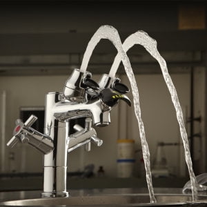 Speakman SEF-1850 Eyesaver Single-Post Laboratory Faucet with Integrated Emergency Eyewash Chrome