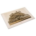thumbnail image 3 of Print: Manzanita, 1855, 3 of 4