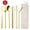 Gold, variant on Bxaolu 7 Pieces Stainless Steel Flatware Set Portable Reusable Cutlery Set Travel Utensils Set Including: Chopsticks Knife Fork Spoon Straws Cleaning Brush Dishwasher Safe (Black)