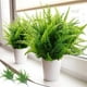 thumbnail image 2 of 2 unidades de helechos artificiales, simulación persa con agua, decoración de pared verde, flores y hojas verdes, helecho persa, flor de plástico, 2 of 7
