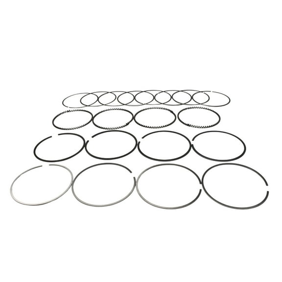 Piston Rings Fits for 96-00 Honda Civic De So 1.6 SOHC D16Y7 D16Y8 D15Z1 US Stock