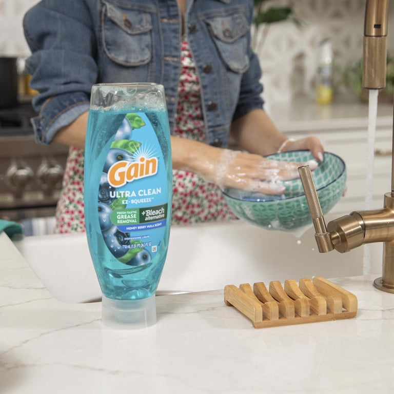 Gain, Dishwashing Liquid, 14.7 fl oz, Honeyberry Hula - Walmart.com