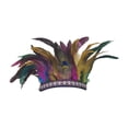 thumbnail image 1 of Diadema de plumas Fernando para fiesta coloridos, 1 of 8
