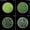 1 to 3 MM, variant on Crushed Green Sunstone Coarse All Size Natural Sparkling Chiller Effect Green Sunstone Inlay Powder Woodworking Inlay Healing Energy Powder 1 to 3 MM 50 Gram ( 1.76 OZ )