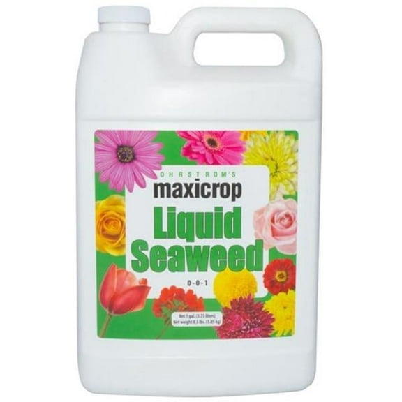 Maxicrop MAX1002 1 gal Bottle Liquid Seaweed 0-0-1 Fertilizer