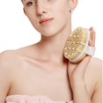 thumbnail image 5 of Volver Cepillo de Ducha para el cuerpo El cepillo exfoliante cepillo para cuerpo seco El cepillo de baño con cerdas naturales Mejora las funciones linfáticas Exfoliante para eliminar toxinas Celulitis, 5 of 5