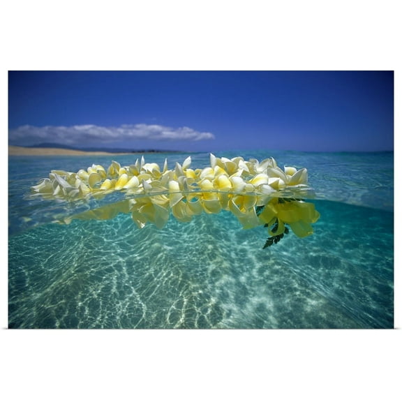 GBC | "Plumeria Lei Floating On Ocean Surface" Art Print - 48x32