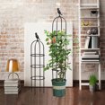 thumbnail image 5 of BToBackyard Plant Trellis Clematis Plants Garden Roses Vine Cherry Tomatoes Splicing Climbing Black White 120Cm Decorative Vines, 5 of 16