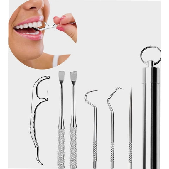 6 Pcs Stainless Steel Toothpick Set, Reusable Toothpick Metal ToothPicks for Teeth, Portable Pocket Tooth Pick with Toothpick Holder for Outdoor Travel (1 Set)