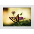 thumbnail image 3 of Philip Clayton-Thompson 14x11 White Modern Wood Framed Wall Art Titled - Garden Butterfly IV, 3 of 5