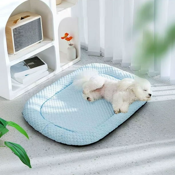 Summer Cool Mat Sleeping Pad Water Absorption Top Bottom Materials Safe Easy Carry Keep Cool For Pet Kids And Adults
