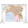 thumbnail image 2 of Fondo de arco de revelación de género de oso "Podemos esperar", globos rosas y azules, purpurina dorada, fondo de fotografía bohemio, pancarta de fiesta, decoración de mesa de pastel, accesorios para, 2 of 3