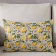 thumbnail image 3 of Yellow Lemon Throw Pillow Cover 20 x 30 Inch Decorative Pillow Cover Brown Vintage Summer Fruit Watercolor Lumbar Pillowcase Seasonal Rectangle Cushion Case for Couch Sofa Bed Living Room, 3 of 7