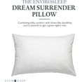 thumbnail image 3 of Envirosleep Dream Surrender King 2 Pillows Found at Hampton Inn, 3 of 7