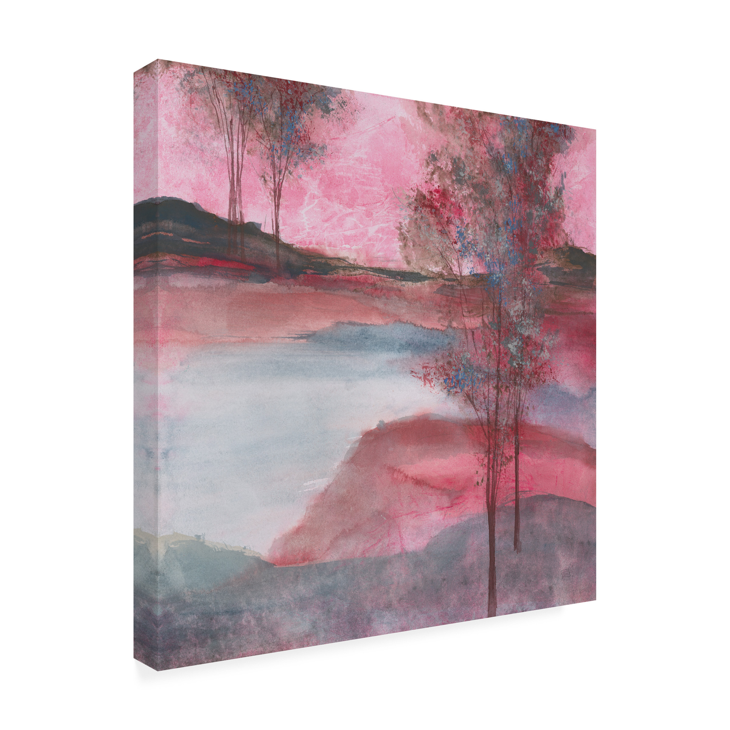 Trademark Fine Art 'Morning Passion' Canvas Art by Chris Paschke