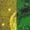 Gold, variant on Bainana Summer Carnival Shirt For Men Color Block Short Sleeve Lapel Collar Tops Stylish Regular Fit Men's Mardi Gras Festival T-Shirt Gold Size L