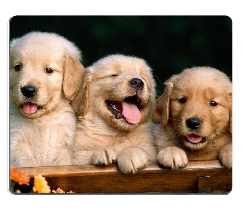 POPCreation Golden Retriever dogs puppies pets Mouse pads Gaming Mouse Pad 9.84x7.87 inches