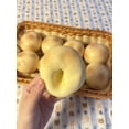 thumbnail image 3 of Assorted Food-Shaped ASMR Stress Balls - Potato, Tangerine, Mango & More - Soft Moldable Non-Bounce Squeeze Ball for Anxiety Relief, Adult Sensory Gadget, 3 of 6