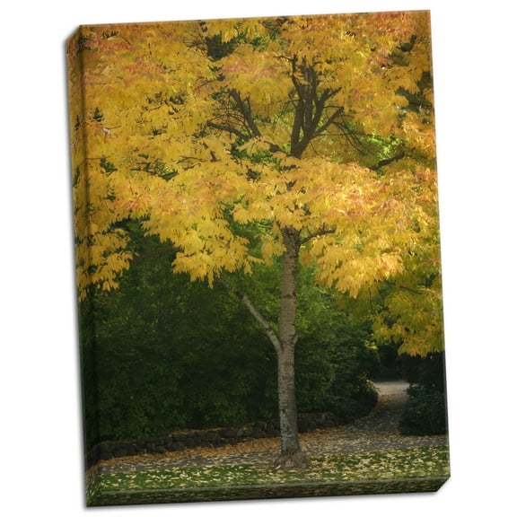 Gango Home Decor Fall Maple Fever VI by Vitaly Geyman (Ready to Hang); One 18x24in Hand-Stretched Canvas