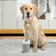 thumbnail image 5 of Lavadora portátil de pies para mascotas, taza de aseo con garra de Animal pequeño, cepillo instantáneo, herramienta de barro semiautomática suave para puerta, caminar al aire libre, gris kenally PT000619-01, 5 of 7