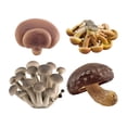 thumbnail image 1 of 4 Pieces Artificial Model Learning Activities Miniature Figurines for Kindergarten Storytelling Sand Table Scene Daycare Toddlers Brown, 1 of 8