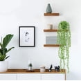 thumbnail image 4 of Artificial Succulent Hanging Potted Plant | Realistic Faux Greenery | Plastic Home & Living Room Decor | Low Maintenance | Indoor Faux Planter | 9x6.5x7.8cm Pot | 65cm Length, 4 of 7