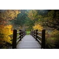 thumbnail image 2 of Susan Vizvary Photography 24x17 Gold Ornate Wood Framed with Double Matting Museum Art Print Titled - Autumns Bridge, 2 of 4