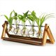 thumbnail image 2 of Terrario para Plantas con Soporte de Madera, Maceta de Vidrio de Pared, Estación de Propagación de Sobremesa para Decoración del Hogar y el Jardín., 2 of 5