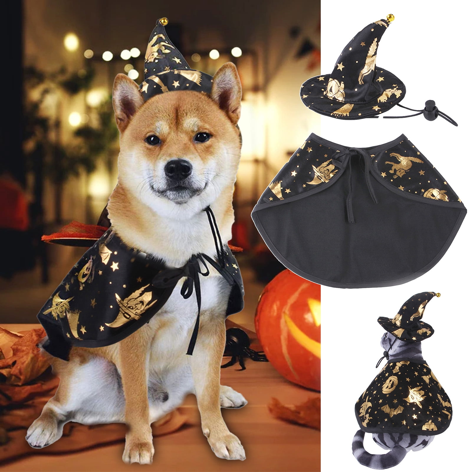 Dog wizard costume hotsell