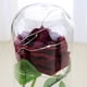 thumbnail image 5 of Rosa de imitación de lámina de oro, rosa eterna, rosa, rosa, regalo creativo para el día de San Valentín, 5 of 6