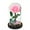 pink, variant on Margarine Rose and Preserved Rose in Glass Dome, Made from Artificial Preserved Flowers, Roses Never Withered Gift for Her, Valentine's, Mother's Day, Birthday (with Gift Box)