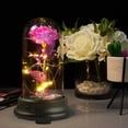 thumbnail image 5 of Rosa de cúpula con luces LED, regalo de rosa de cristal eterna, rosa encantada para siempre, regalo de cumpleaños para aniversario, día de San Valentín, día de la madre, boda, pequeño, 5 of 5