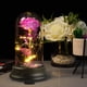 thumbnail image 5 of Rosa de cúpula con luces LED, regalo de rosa de cristal eterna, rosa encantada para siempre, regalo de cumpleaños para aniversario, día de San Valentín, día de la madre, boda, pequeño, 5 of 5