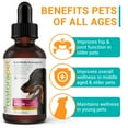 thumbnail image 4 of RestoraPet Ultimate Wellness, For Dogs and Cats, Organic Bacon, 2 fl oz (60 ml), 4 of 8