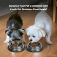 thumbnail image 6 of Iconic Pet Color Splash Stripe Non-Skid Pet Bowl, 8 Oz, Black, 6 of 9