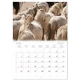 thumbnail image 5 of Camargue horses - Southern French white horses (Monthly Wall Calendar 2026 16.5 x 23.4 (open)), CALVENDO 14 Month Calendar, 5 of 9