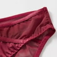 thumbnail image 4 of Bxsruta Women's Hip Lifting Low Rise French Sheer Mesh Lace Panties for Everyday Comfort, 4 of 8