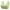 Green, variant on Summer Savings Clearance 2025! TAGOLD Womens Plus Size Bra Clearance,Summer Casual Bras for Womens,Woman's Embroidered Glossy Comfortable Breathable Bra Underwear No Rims