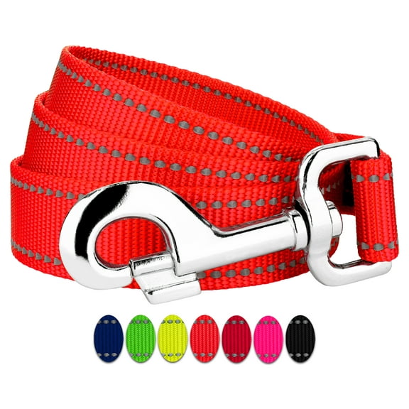 Country Brook Petz - 3/4 Inch Reflective Nylon Dog Leash