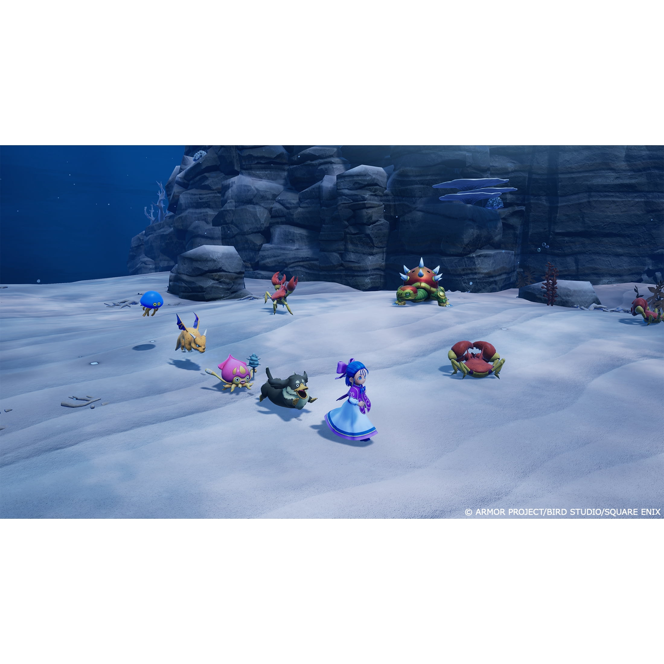 DRAGON QUEST MONSTERS: The Withered World&nbsp;- PlayStation 5 Game