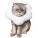 thumbnail image 1 of Collar en forma de E para gato ajustable, lindo cono de cuello tostado después de la cirugía, cono protector para curación de heridas, recuperación de cirugía de pan, collares isabelinos, borde suave, 1 of 5